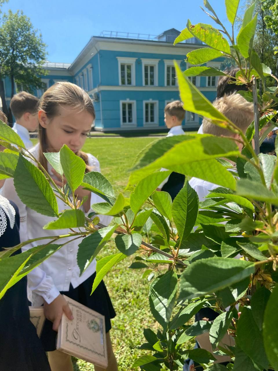 Вспоминаем урок-экскурсию на пришкольном участке